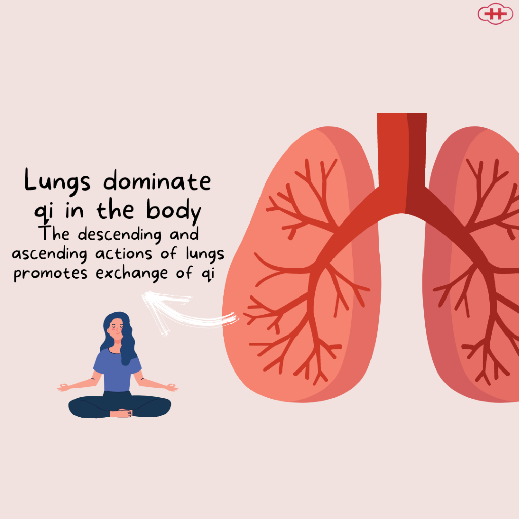 Lung1